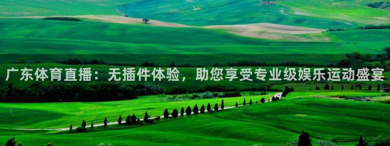 山猫足球免费直播：广东体育直播：无插件体验，助您享受专业级娱乐运动盛宴