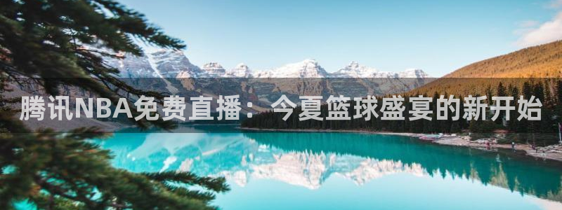 山猫足球赛事直播：腾讯NBA免费直播：今夏篮球盛宴的新开始