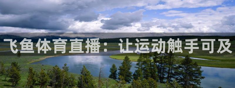 山猫体育直播免费五大联赛：飞鱼体育直播：让运动触手可及