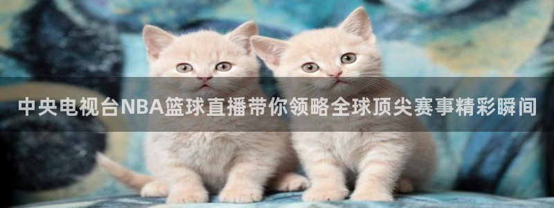 山猫五大联赛直播：中央电视台NBA篮球直播带你领略全球顶尖赛事精彩瞬间