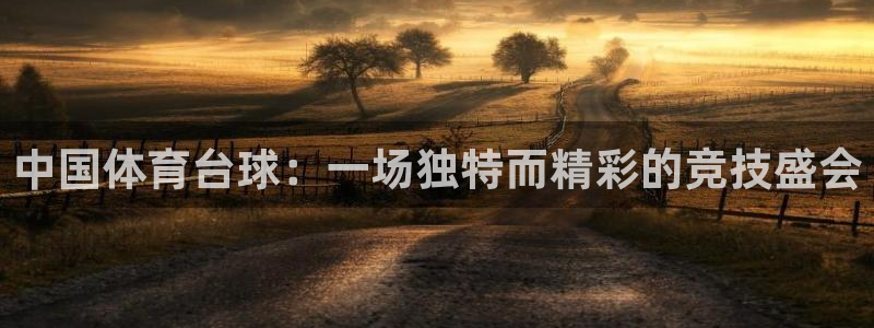 山猫足球直播间：中国体育台球：一场独特而精彩的竞技盛会