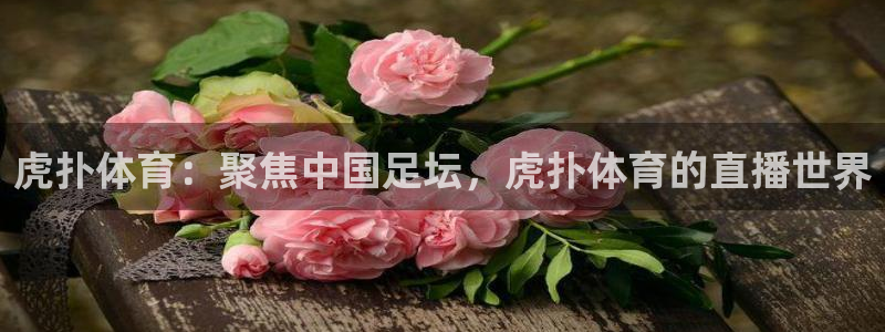 山猫体育nba直播吧：虎扑体育：聚焦中国足坛，虎扑体育的直播世界
