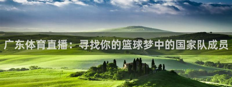 山猫足球直播：广东体育直播：寻找你的篮球梦中的国家队成员