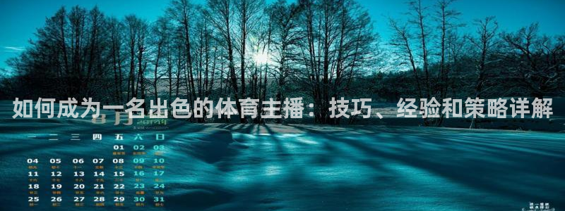 山猫直播nba体育直播：如何成为一名出色的体育主播：技巧、经验和策略详解