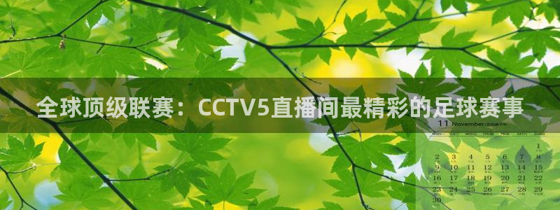 山猫直播体育赛事：全球顶级联赛：CCTV5直播间最精彩的足球赛事