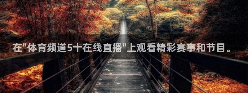 山猫足球免费直播：在\