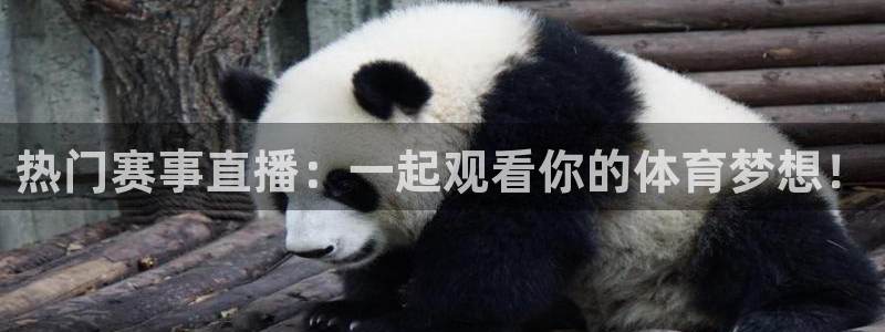 山猫看球直播：热门赛事直播：一起观看你的体育梦想！