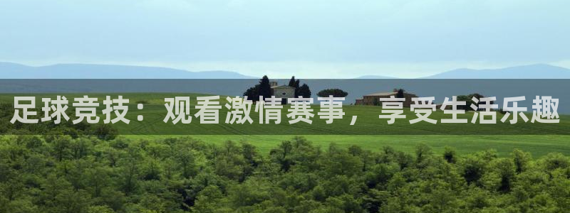 山猫足球免费直播高清：足球竞技：观看激情赛事，享受生活乐趣