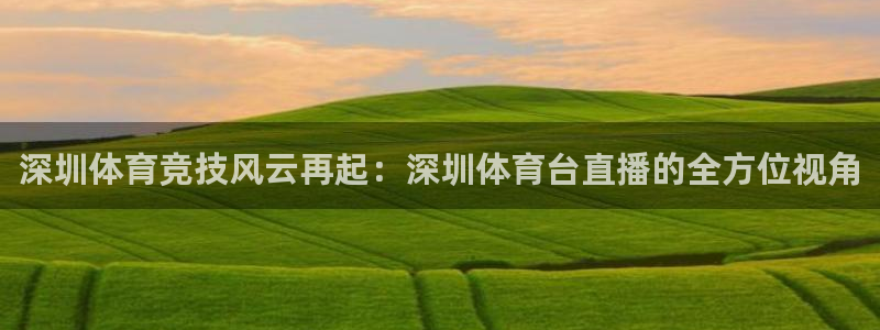 山猫直播山猫体育：深圳体育竞技风云再起：深圳体育台直播的全方位视角